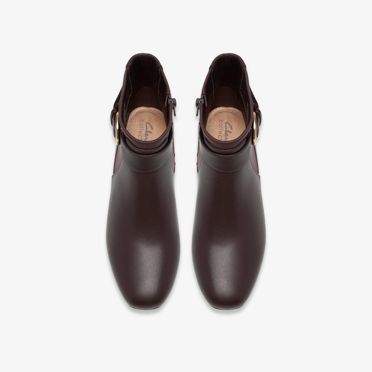 Iridessa Clara Dark Brown - US 3509
