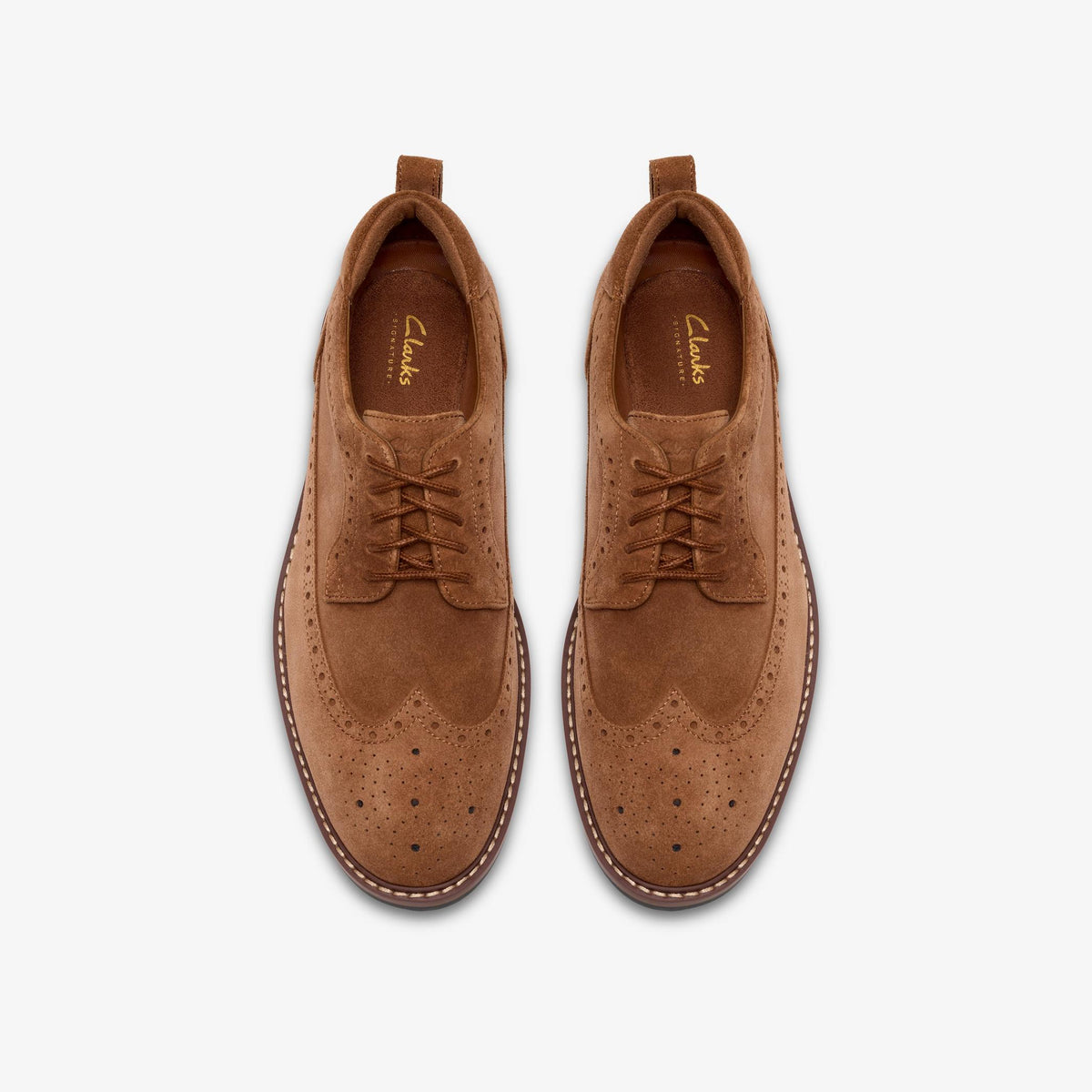 Aldwin 2 Limit Cola Suede - US 7637